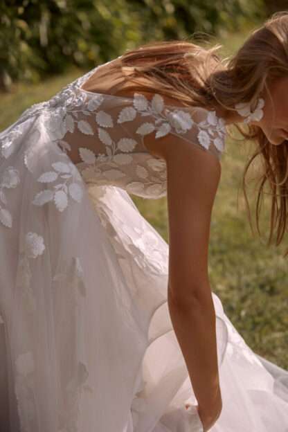 Cassia - Image 3