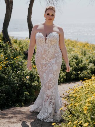 Natalia R3651 Allure Romance fitted sheath wedding dress for curvy brides. Matt cotton lace over a sparkle tulle. Chameleon Bride Bournemouth Dorset